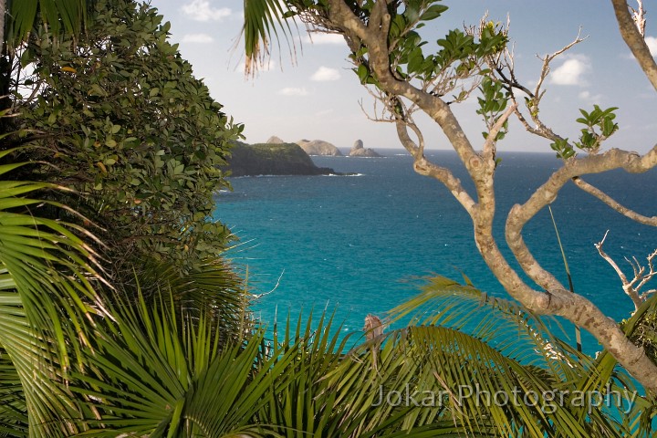 Lord Howe Island_20061210_053.jpg